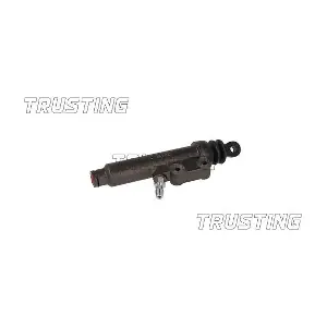 PZ075 TRUSTING