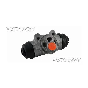 CF561 TRUSTING