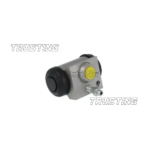 CF1133 TRUSTING