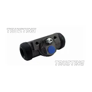 CF695 TRUSTING