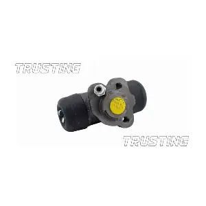 TRUSTING CF213