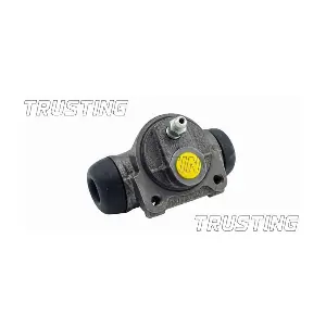 TRUSTING CF079