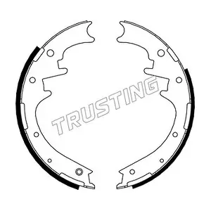 040154 TRUSTING