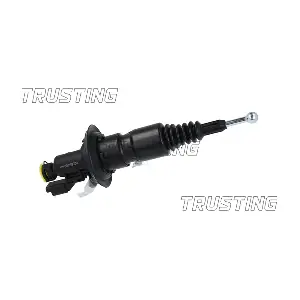 PZ268 TRUSTING