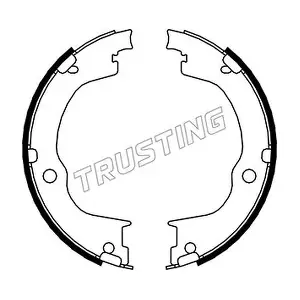 TRUSTING 073175