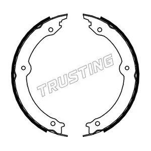 115323 TRUSTING