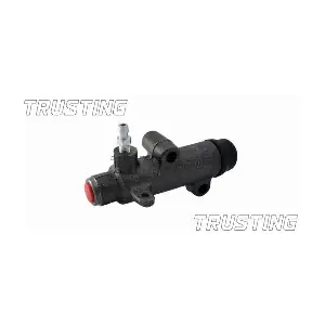 CZ101 TRUSTING