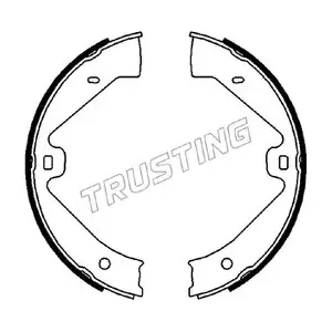 124289 TRUSTING