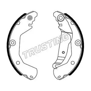 027013 TRUSTING