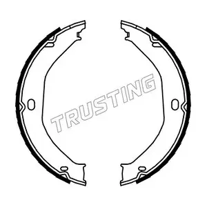 453 TRUSTING