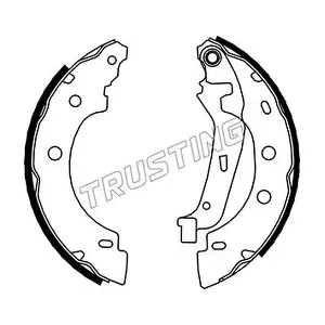 088230 TRUSTING