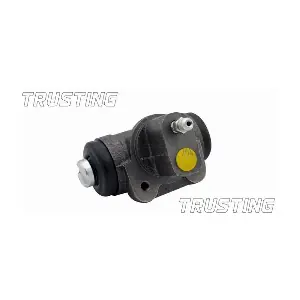 TRUSTING CF325