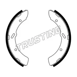 253.706 TRUSTING