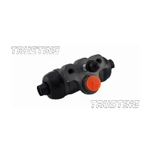 TRUSTING CF563