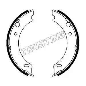 TRUSTING 127271
