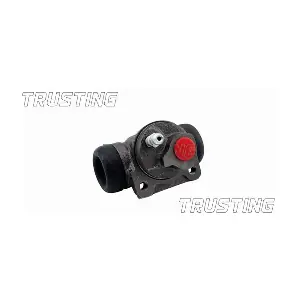 TRUSTING CF073