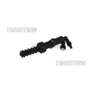 TRUSTING CZ138