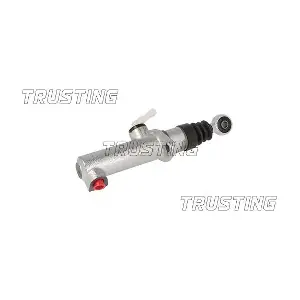 PZ070 TRUSTING