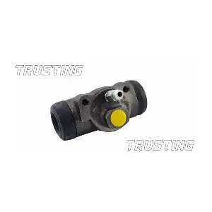 CF824 TRUSTING