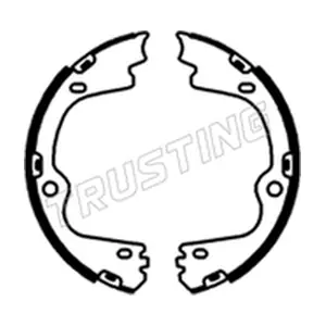 253701 TRUSTING