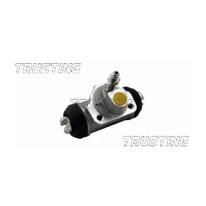 CF495 TRUSTING