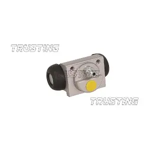 CF1093 TRUSTING