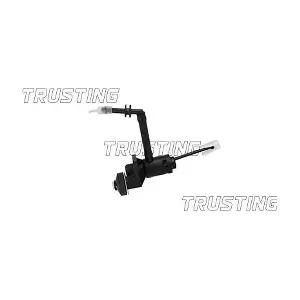TRUSTING PZ084