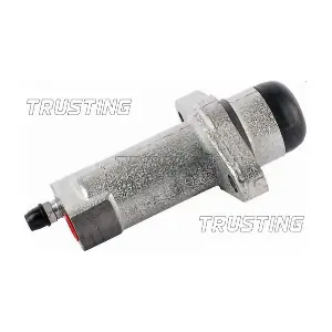 CZ119 TRUSTING