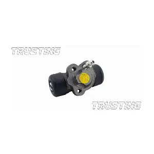 CF212 TRUSTING