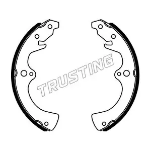 TRUSTING 049120