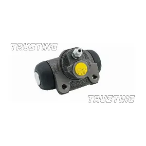 TRUSTING CF132