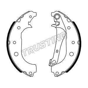 TRUSTING 040166