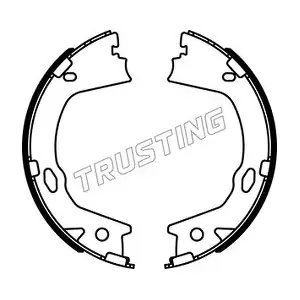 TRUSTING 046228