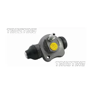 TRUSTING CF105