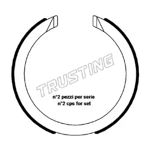027008 TRUSTING