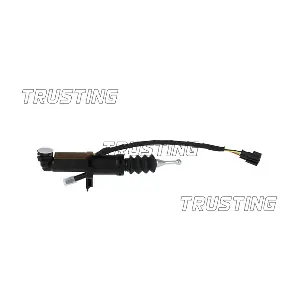 PZ259 TRUSTING
