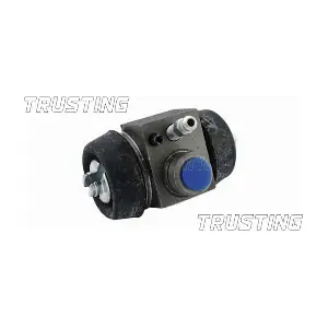 CF191 TRUSTING