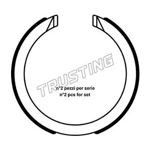 040163 TRUSTING
