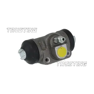 CF1123 TRUSTING