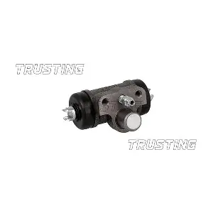 CF1102 TRUSTING