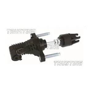 PZ294 TRUSTING