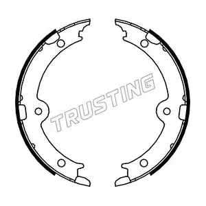 115.321 TRUSTING