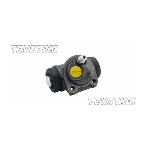 TRUSTING CF060