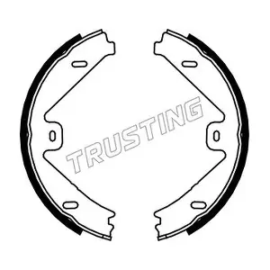 052137 TRUSTING