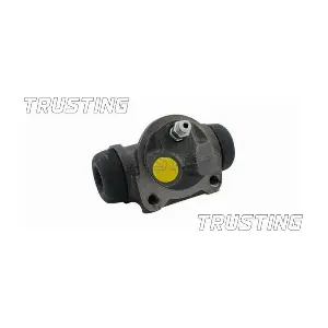 CF113 TRUSTING