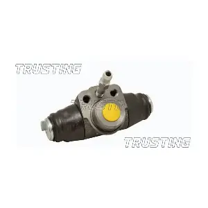 TRUSTING CF107