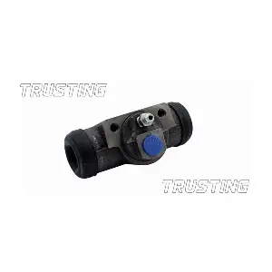 CF779 TRUSTING
