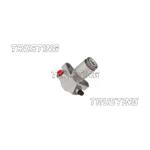 TRUSTING CZ125