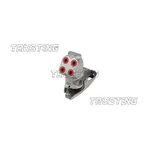 TRUSTING CT033