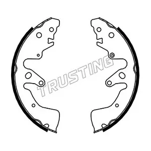 111251 TRUSTING